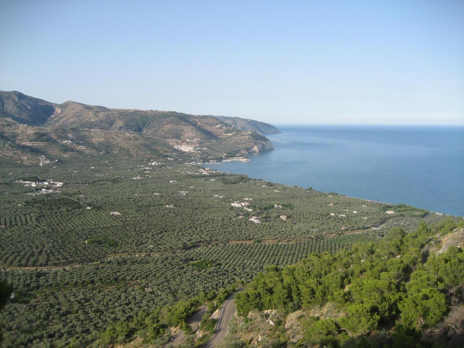Mattinata Camping Buitenkant foto