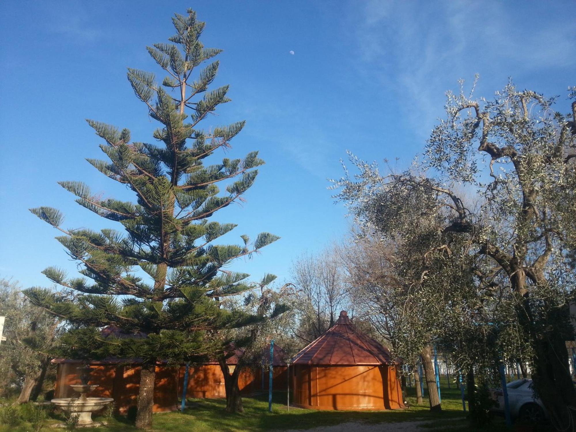 Mattinata Camping Buitenkant foto